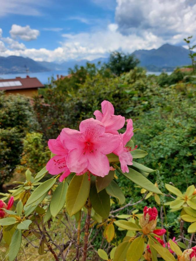 La Casa Delle Camelie Villa Stresa Dış mekan fotoğraf